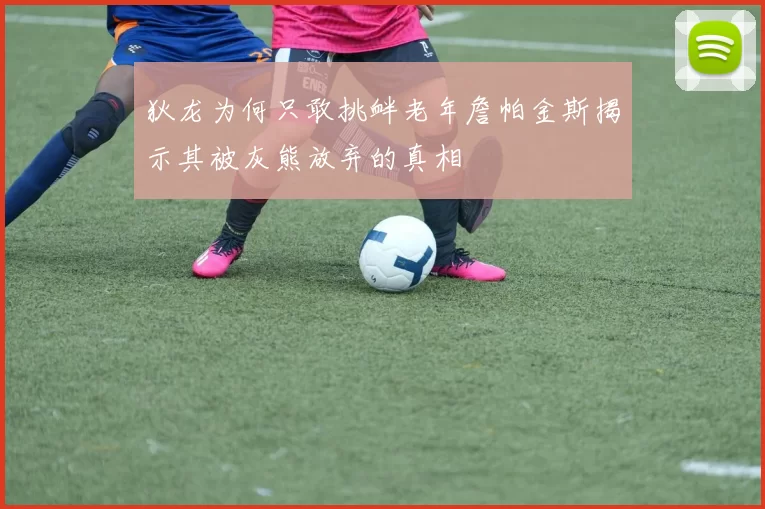 狄龙为何只敢挑衅老年詹帕金斯揭示其被灰熊放弃的真相