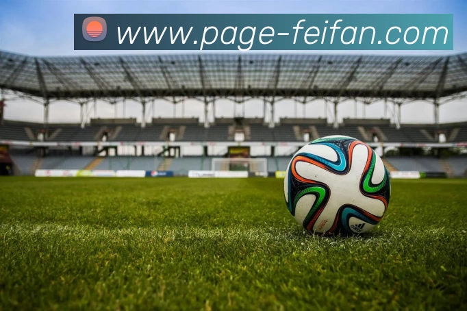 非凡娱乐平台生态图